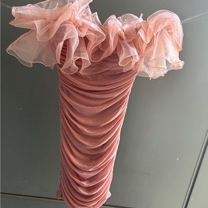 Fashion Nova Pink Dress